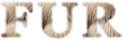 FUR logo